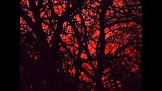 Neonoid & Loonatic- Upper Grounds (Minimal Techno)