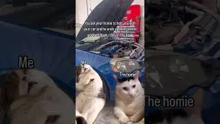 I’ll buy you Taco Bell tho 👉👈 #cars #rsx #automobile #meme #carmemes #memes #mechanic