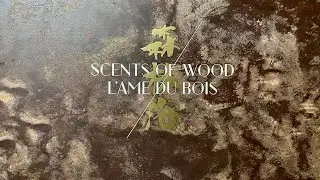 Scents of Wood - Collectors box 2021