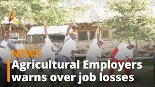 Agricultural Employers Association warns over job losses