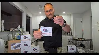 Holosun SCS PDP Quick Review #holosunoptics #scspdp #waltherpdp #shoot #shootinggear #edc #reddot
