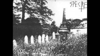 Spectre - Swarm