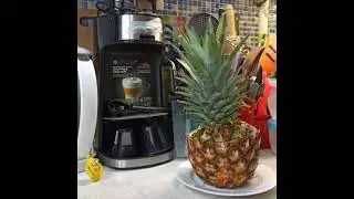 🖐🙂 Liipush 4v🍍🏠 #cartoon #cute #stopmotion #мультик #funny #forkids #липуш #ананас #pineapple #home