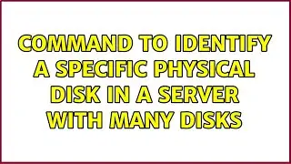 command to identify a specific physical disk in a server with many disks (2 Solutions!!)