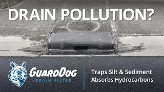 The GuardDog Drain Filter