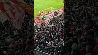 Colonia FC ❤️🤍 #bundesliga #effzeh #fussball #ultras