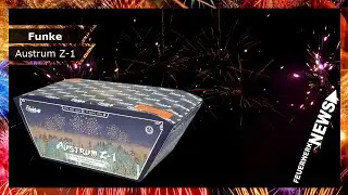 FUNKE AUSTRUM Z-1 | Goldpalme & lila Sterne | 4k