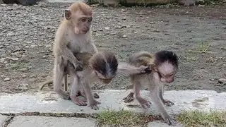 Pipy acted inappropriately towards L and B 