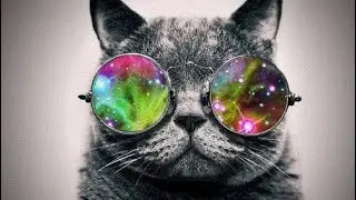 Hallucinogens (Music)