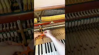 this is your brain on piano