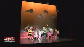 Washington Pavilion Offers Free Ticket To Musical For Pet Food Donation