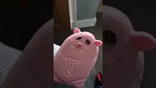 Jimmy the pig gets a slap