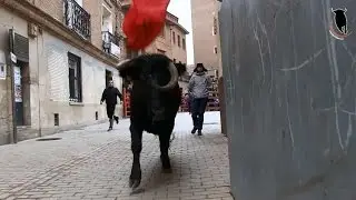 Primeros encierros del año 2017. Aldeanueva de Ebro (2 de Enero)