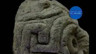 CABEZA CLAVA