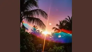 Sands Between Shadows
