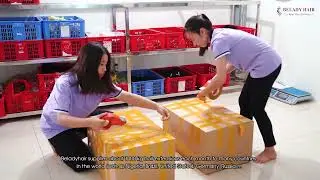 Vietnamese Hair Vendors from Vietnam | Belady Hair Factory