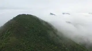 Nature Sound   Relaxing Music   Refreshing Music   River sound    Nature Sounds   Singing Birds