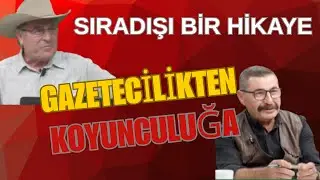 Gazetecilikten Koyunculuğa