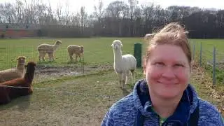 Spijkerbos, Vlaamse Ardennen, wandeling 2021/02/23