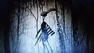 GUBBKEPS  -Wanna Walk the Walk? (Music video)