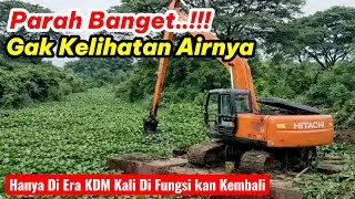 Parah ‼️ Kali Tertutup Eceng Gondok, Airnya Sampai Gak Kelihatan