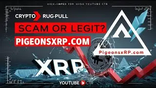 pigeonsxrp.com &mdash; мошенничество или законный сайт? Предупреждение о подделке XRPL.