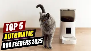 BEST Automatic Dog Feeders 2025: Smart Feeders with a Camera?