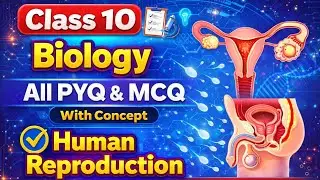 Class 10 Biology // Human Reproduction // Concept with MCQ // covers all PYQ // UP & CBSE BOARD
