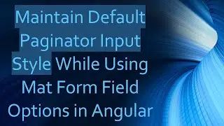 Maintain Default Paginator Input Style While Using Mat Form Field Options in Angular