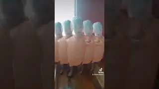 Pelagio Becere Galia action , makulet na apo,