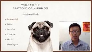 English Master - Daily Lesson 2: Definition and Functions of Language
