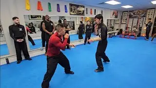 Kung Fu Sparring #69 - Sifu Freddie Lee vs. Brandon Lee - Chaaze, Dixon, Mo, Nik, Kang - Jan 31 2026