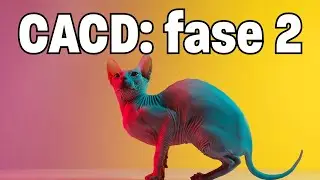 CACD de A a Z | Fase 2 do CACD: decifra-a ou ela te devora! | Pupila do Barão: do CACD à Diplomacia!