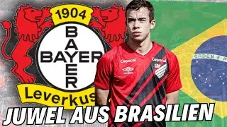Bayer 04 Leverkusen: Transfer-Update! Best&auml;tigte Nachricht! Bayer Leverkusen