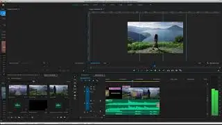 Media Asset Management Software