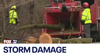 Chicago storm aftermath: Downed trees, flooded streets, and power outages