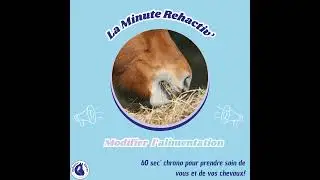Modifier l'alimentation de son cheval