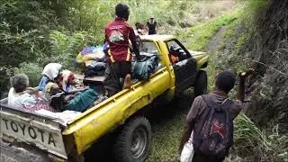 Toyota Forever