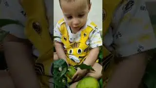 I love mango #live #gaming #youtubeshorts #shorts