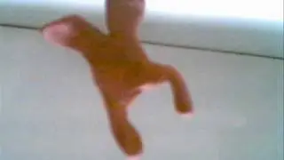 The Shanimation