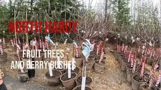 North Hardy Fruit Tree Farm