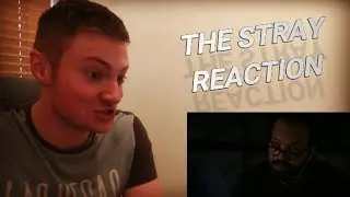 WESTWORLD - 1X03 THE STRAY REACTION