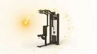 Pec Fly Rear Delt Professionnel Mod&egrave;le Neuf Garantie 2 Ans