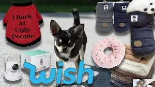 WISH DOG HAUL Werbung vs. Realit&auml;t Teil 2 | VERLOSUNG | Luckylife