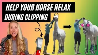 Bridle Path Clipping - Easy and FAST Method to Help Your Horse Relax