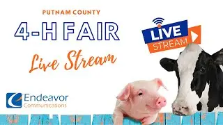 Putnam County Fair Swine Show