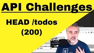 API Challenges - How to Solve HEAD todos 200 in Insomnia