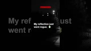 My reflection just went rogue