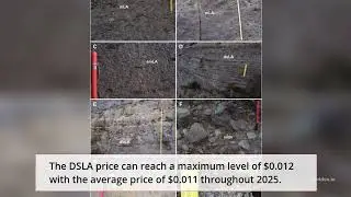 DSLA Protocol Price Prediction 2022, 2025, 2030  DSLA Price Forecast  Cryptocurrency Price Predictio