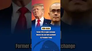 Former CEO of crypto exchange Binance has just been pardoned by President Trump
